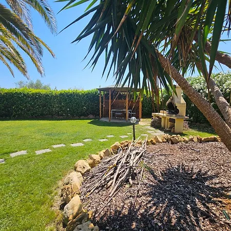 Villa Large Mediterranea In The Heart Of Coral Shore With Swimming Pool Large Garden With Palm Trees Alghero