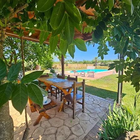 Large Mediterranea In The Heart Of Coral Shore With Swimming Pool Large Garden With Palm Trees Villa Alghero